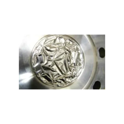 Seal Damage Example 57 - Blown Up Seal