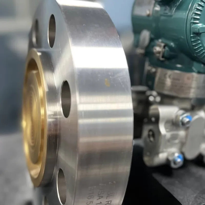 Image for Diaphragm Seal Refurbishment