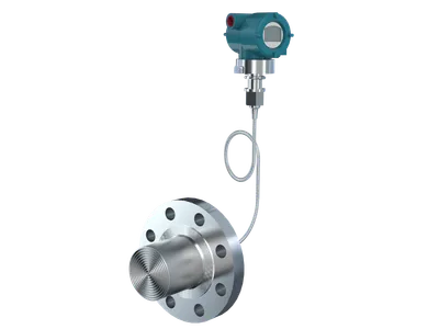 Flanged Diaphragm Seals with Extended diaphragm