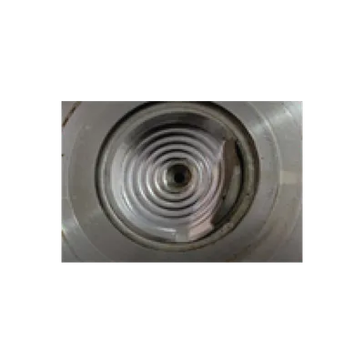 Seal Damage Example 59 - Ruptured Seal